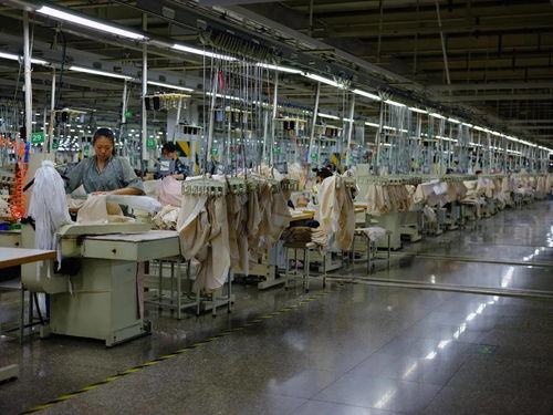 中国移动 服装加工厂厂房内打造5g高清直播间开启 前店后厂 模式
